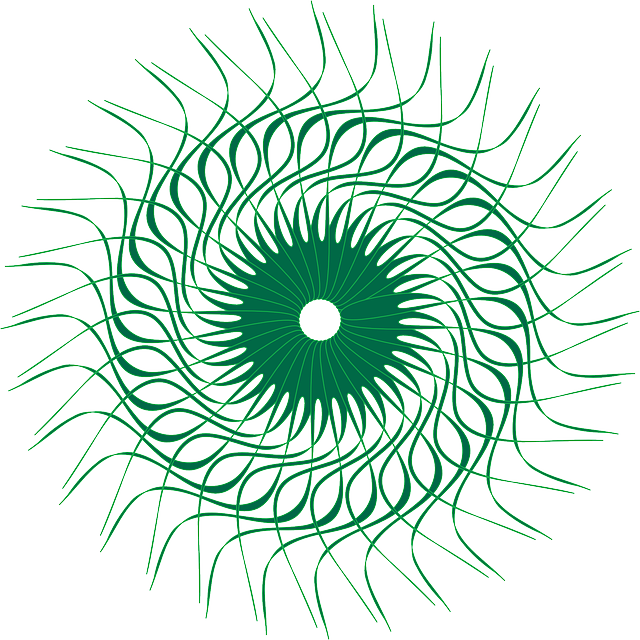 Sun, Shape, Circles, Swirl, Rays, Shapes, Circle - Shape (640x640), Png Download
