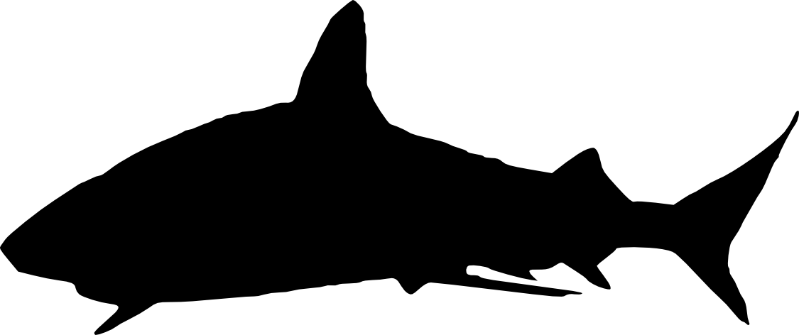 Free Download - Shark Silhouette Png (1125x472), Png Download