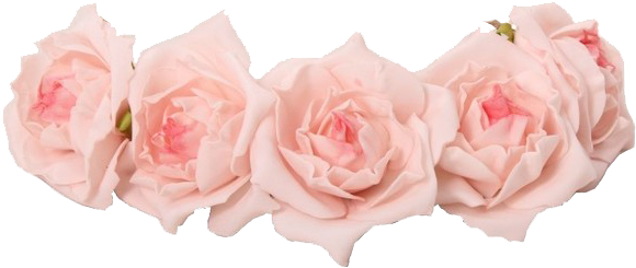 Transparent Flower Crown Png - Pink Flower Crown Transparent (600x600), Png Download