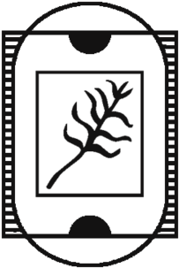 Ill 1 (1000x1000), Png Download