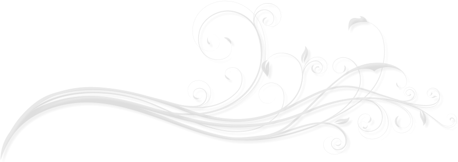 Elegant Lines Png - Photography (901x326), Png Download