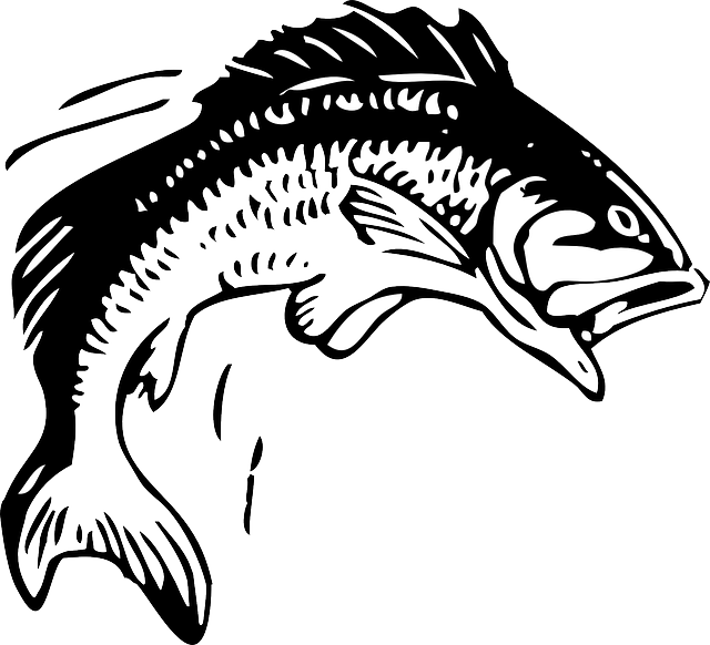Silhouette Animals, Head, Red, Water, Food, Sketch, - Group 11 Rugby League (640x582), Png Download