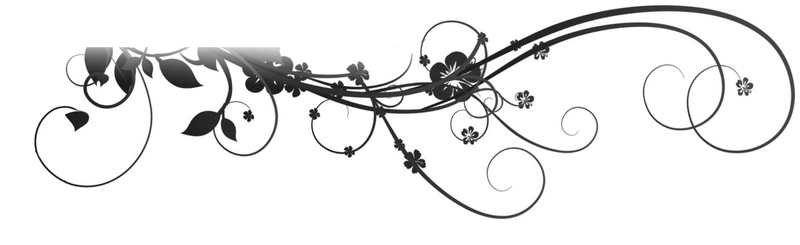 My Year In Books 2014 - Flower Deco (1666x646), Png Download