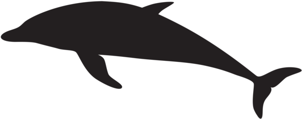 0, - Dolphin Silhouette Png (600x241), Png Download