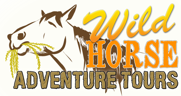 Wild Horse Logo - Horse (613x328), Png Download