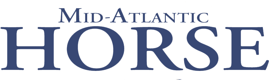 M#atlantic Horse Logo Blue - Groomers (918x258), Png Download