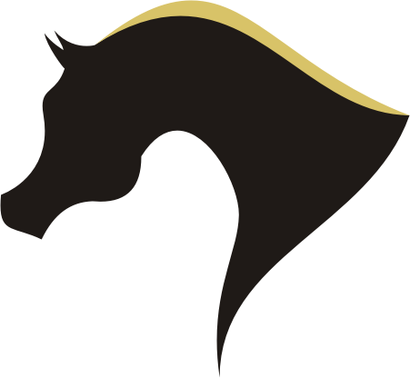 Com Forum Straight Egyptians - Arabian Horse Head Logo (451x416), Png Download
