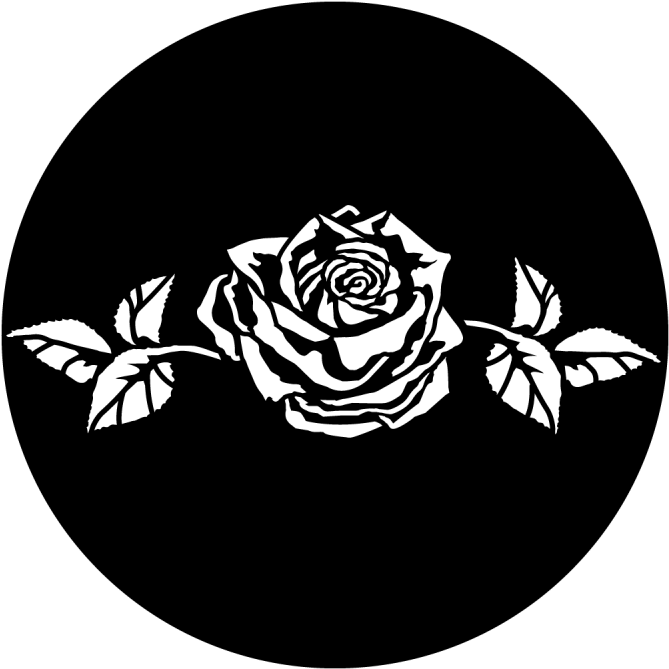 Romantic Rose Divider - Apollo Design 1059 Rose With Stem Steel Pattern (800x800), Png Download