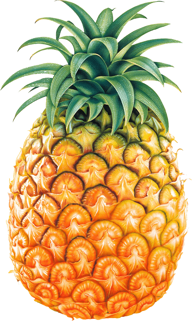 Descargar - Pineapple Png (640x1067), Png Download