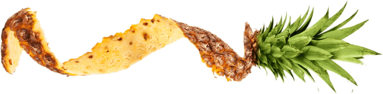 Cáscara De Piña - Pineapple Peel Png (1338x460), Png Download