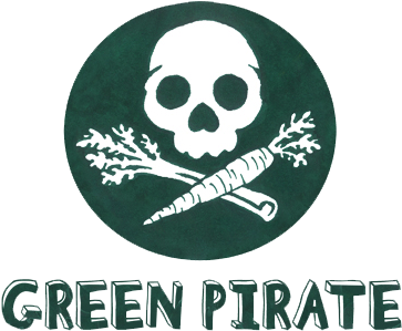 Green Pirate Logo - Pirate Healthy (384x320), Png Download