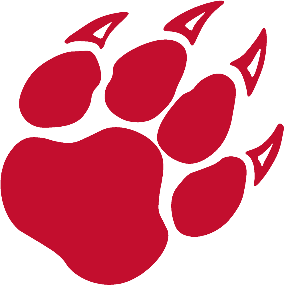Wolf Paw - Cartoon Panther Paw (1000x1008), Png Download