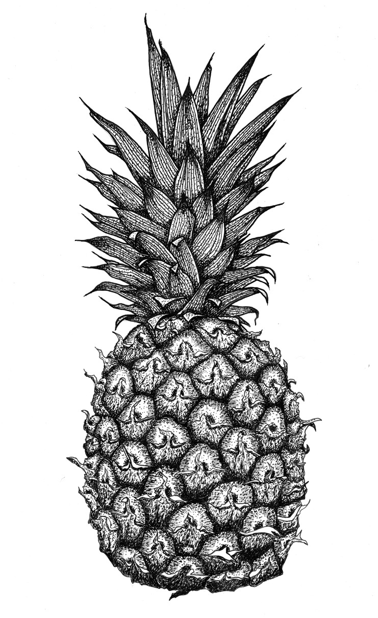Pineapple Drawing Pattern - Mandala Pineapple (740x1240), Png Download