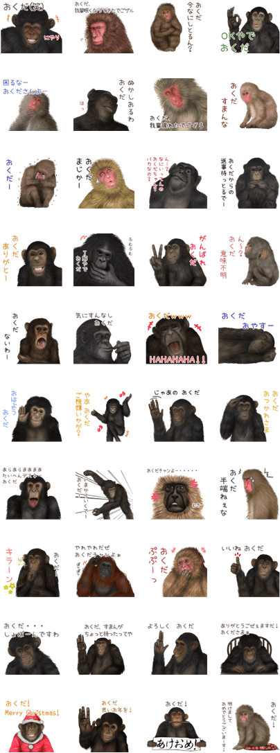 Okuda Monkey's Real Name Sticker - Gorilla (420x1121), Png Download