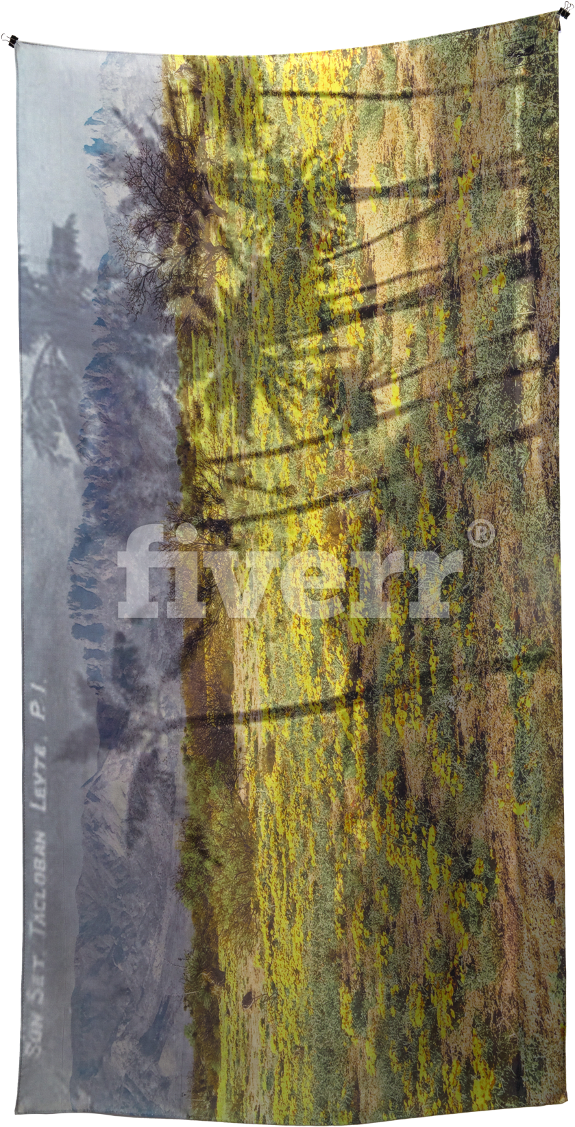 Birch (1200x1800), Png Download