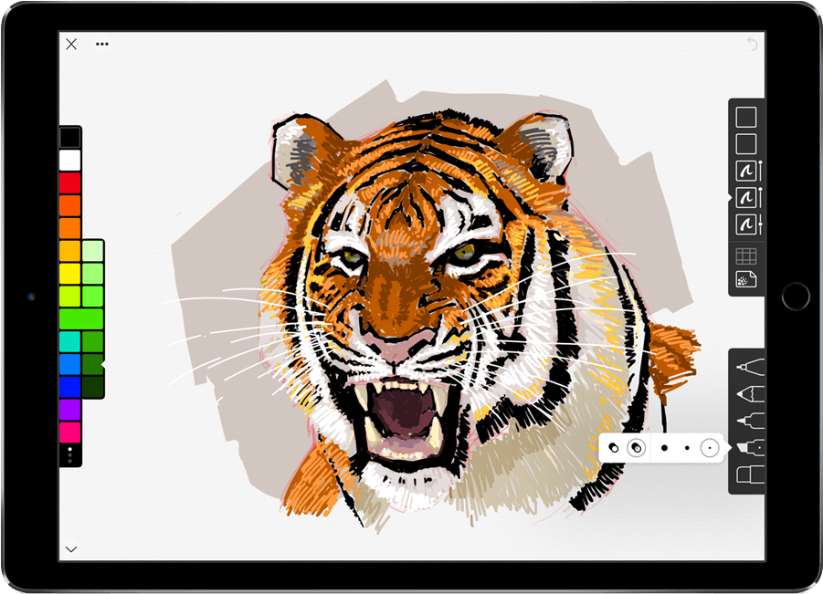 An Elegant Sketching App For The Ipad From The Iconfactory - Siberian Tiger (1536x650), Png Download