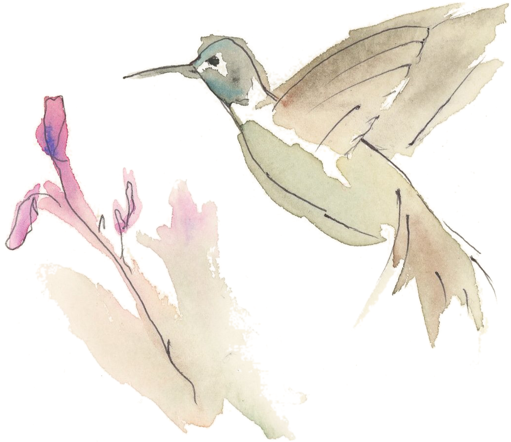 Hummingbird Watercolor - Stork (1210x969), Png Download