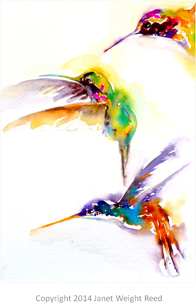 "three On A Mission" Hummingbird Print By Janet Weight - Hummingbird (1052x1052), Png Download