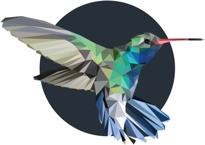 Hummingbird (1000x773), Png Download