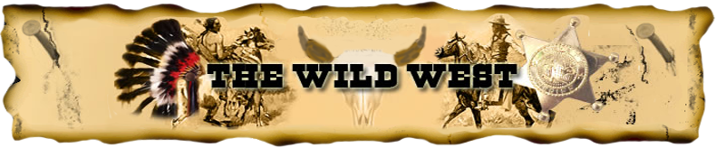 Native Americans - Illustration (790x164), Png Download