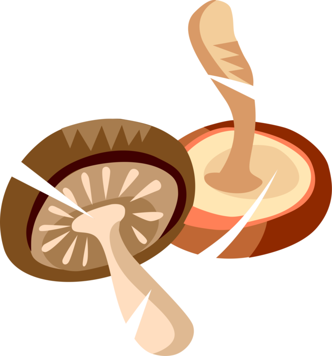 Vector Illustration Of Edible Mushroom Or Toadstool - Illustration (653x700), Png Download