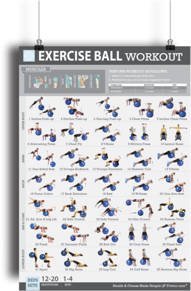 The Swiss Ball Are One Of The Best Fitness Tools You - Home Workout Exercise Ball (461x600), Png Download