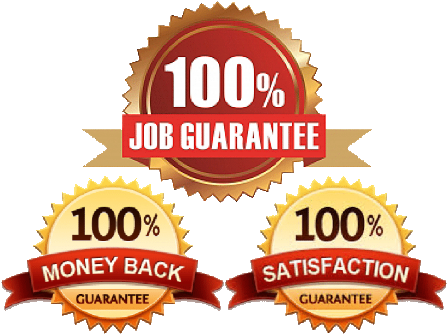Job Search, Placement And Support - Money Back Guarantee (450x362), Png Download
