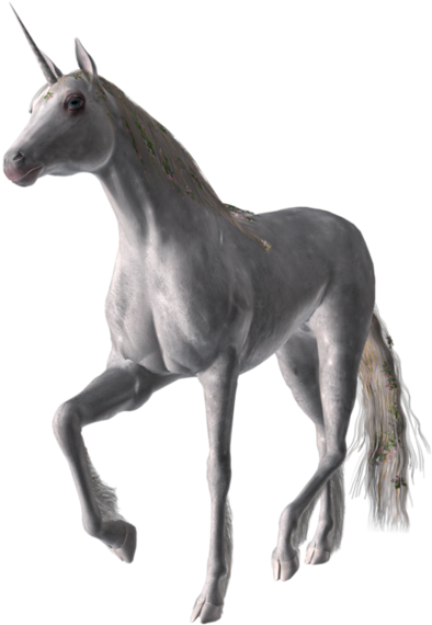 Share This Image - Horse (600x600), Png Download