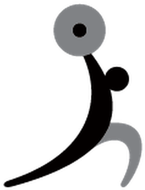 Sports (485x399), Png Download