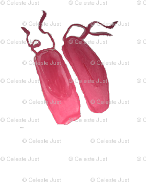 Ballet Slippers - Earrings (309x400), Png Download