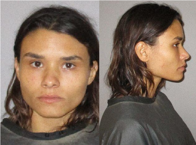 Palm Coast Woman Arrested After Allegedly Threatening - Girl (870x580), Png Download