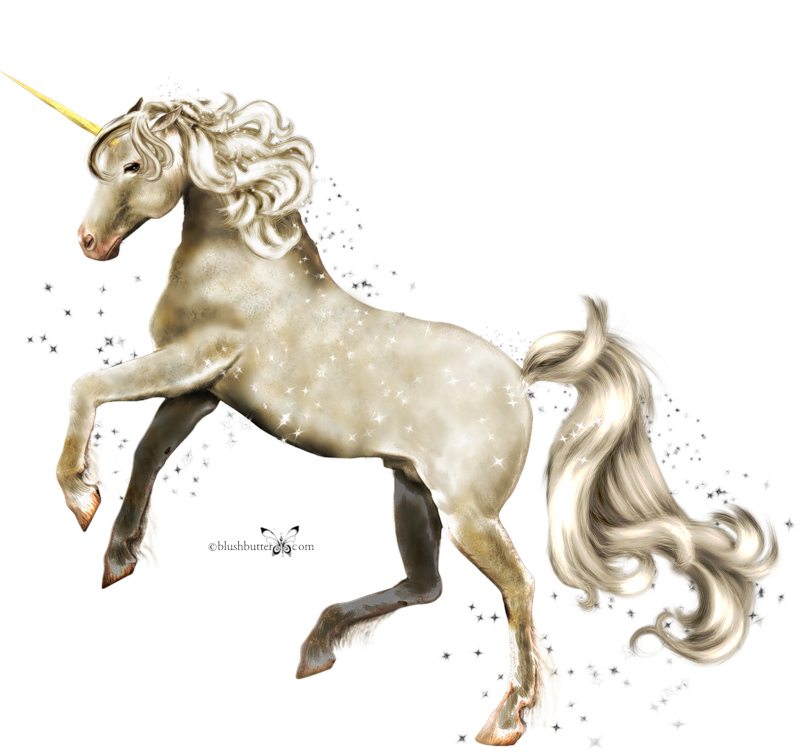 Лошадки - Png Fabeltiere (800x754), Png Download