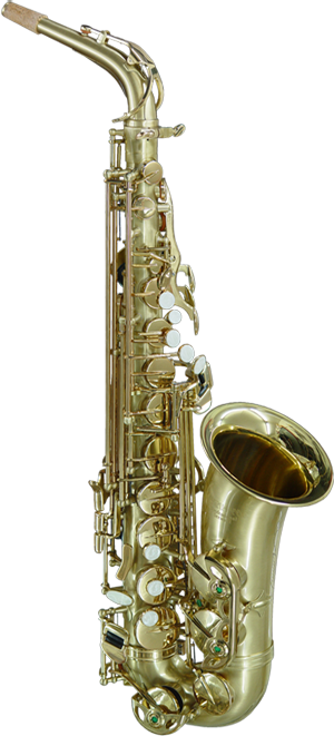 Earlham 310 Alto Saxophone, Earlham Special Matt Finish - Vintage Altsax (300x661), Png Download
