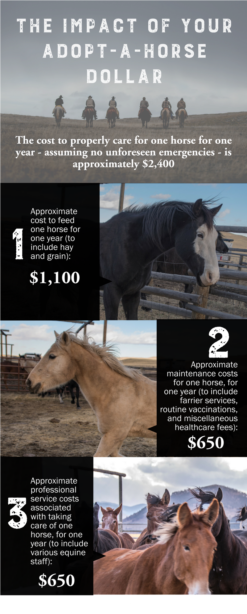 Aah Infographic (800x2000), Png Download