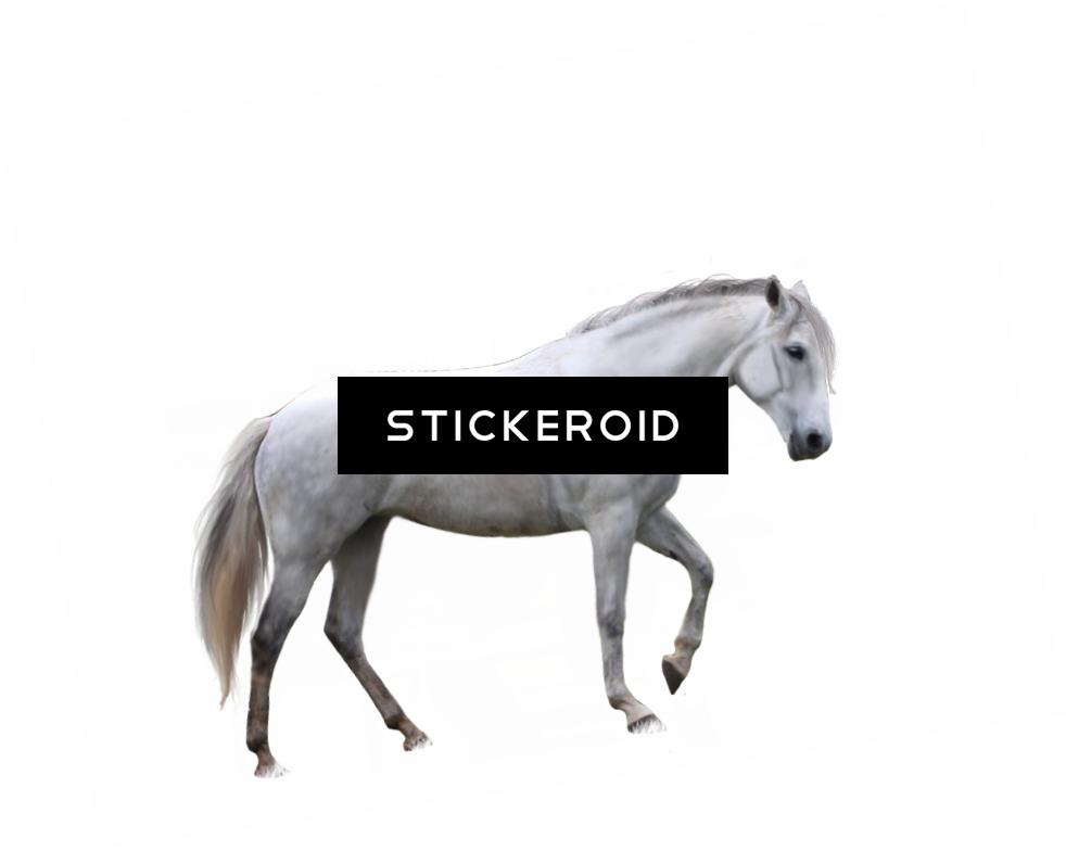 Brown Horse - Horse (982x784), Png Download