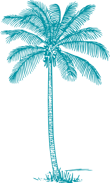 Small - Pencil Drawing Coconut Tree (360x600), Png Download