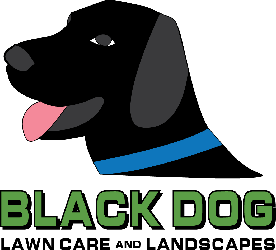 Black Dog Lawn Care & Landscapes, Llc - Black Dog Lawn Care & Landscapes (1045x948), Png Download