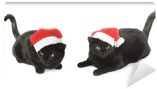 Black Cat Santa - Cat (400x400), Png Download