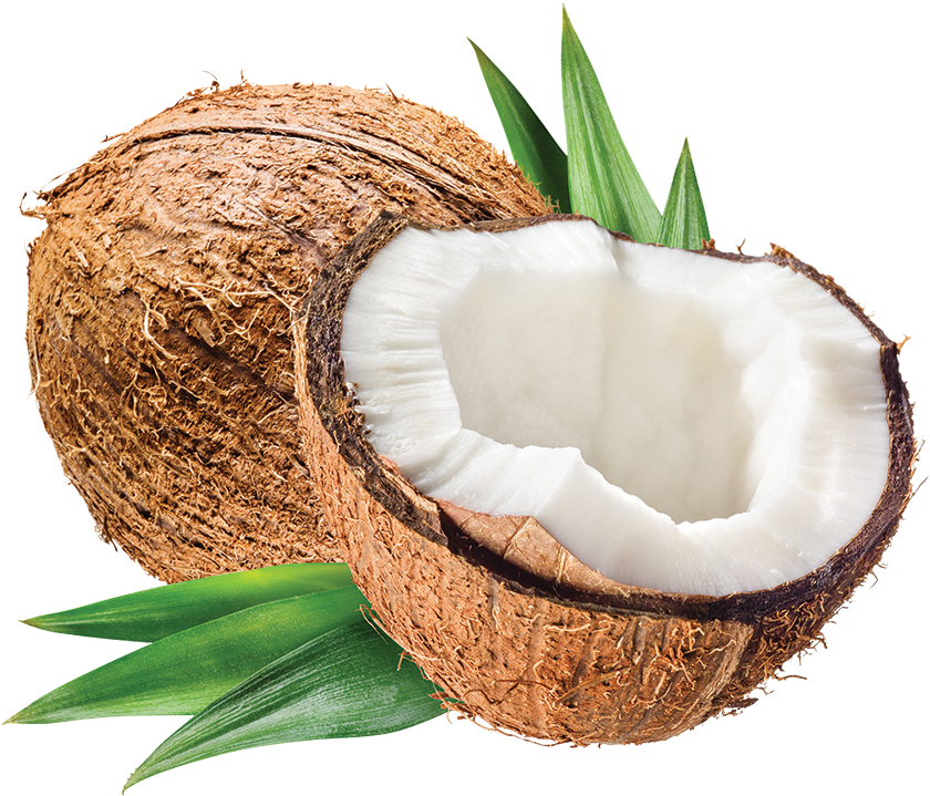 Our Coconut Story - Coconut Stock (945x787), Png Download