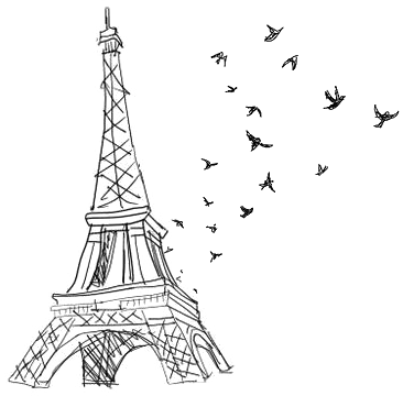 Paris Eiffeltower Eiffel Toureiffel Black Tumblr - Eiffel Tower Drawing Birds (366x360), Png Download