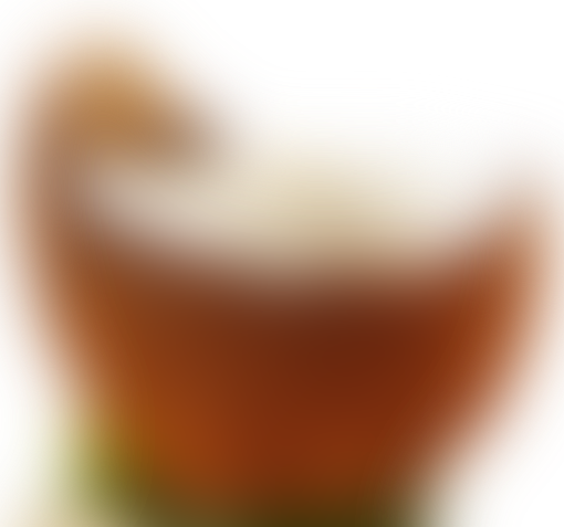 Coconut - Macro Photography (510x477), Png Download