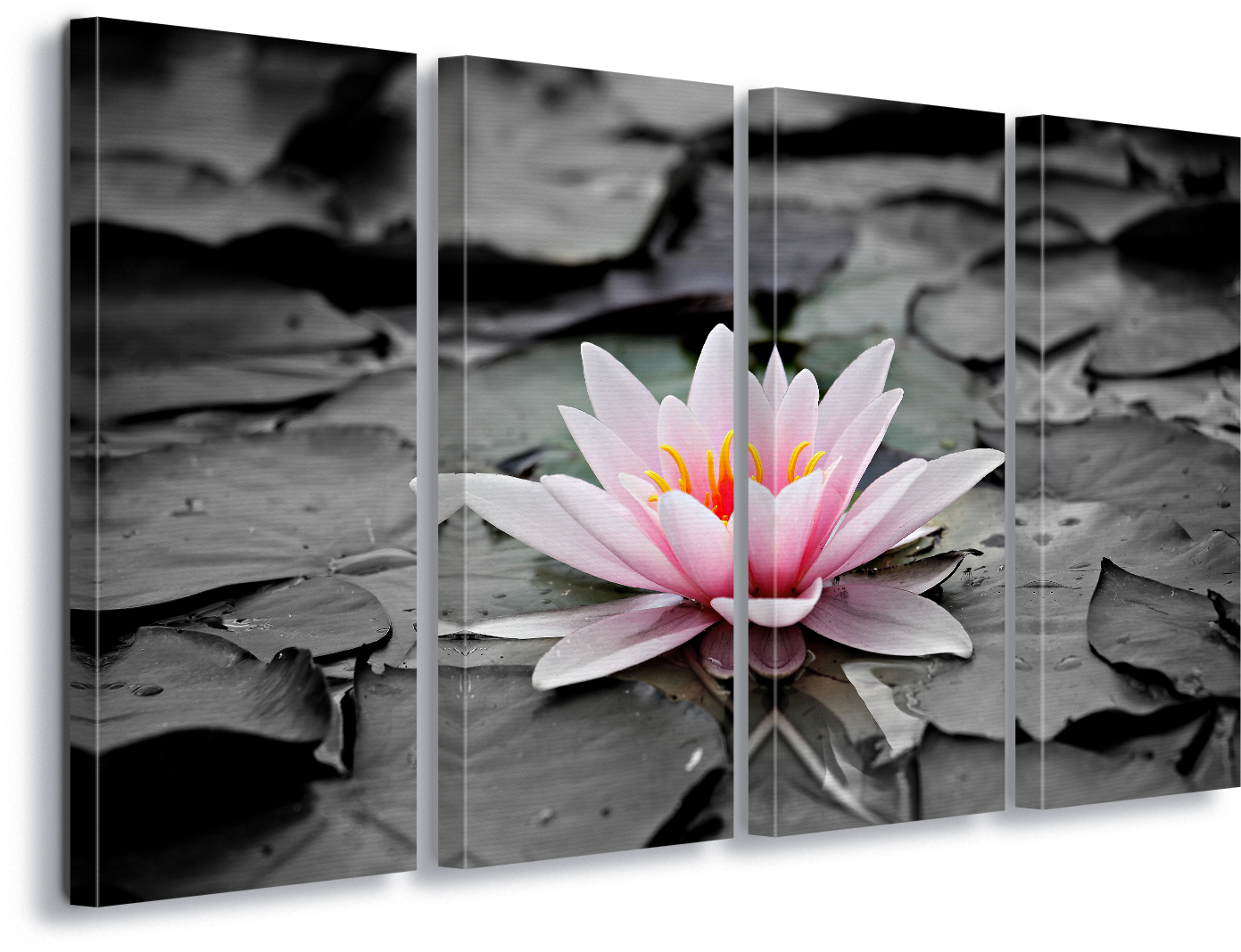 Water Lily Pink Canvas Amp Glass Wall Art - Flor Lotus Quadro (1600x1105), Png Download