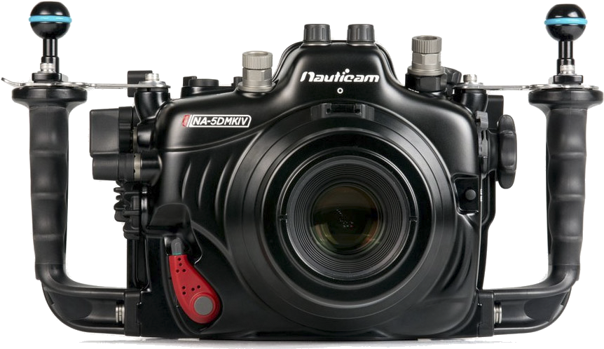 In Addition, The High Iso Performance In Low Light - 5d Mark Iv Underwater Housing (885x537), Png Download