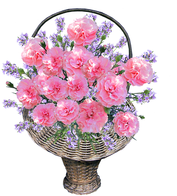 Clipart Resolution 642*720 - Bouquet Transparent Pink Carnation Floral Arrangement (642x720), Png Download