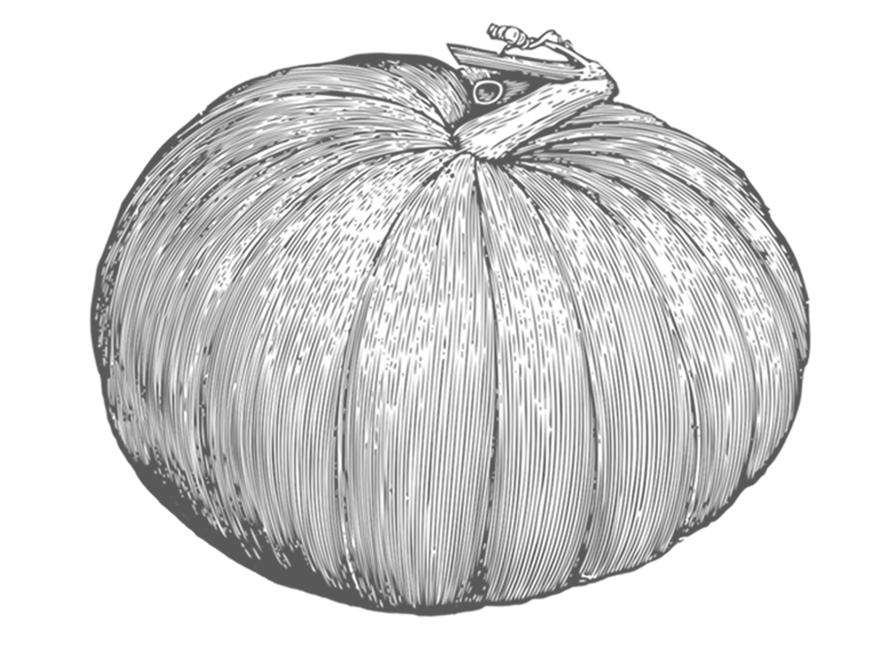 A - Pumpkin (1812x1354), Png Download