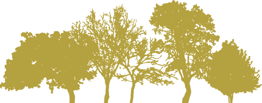 Download Ict Trees - Full Size PNG Image - PNGkit