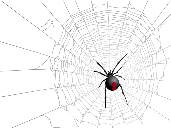 Halloween Transparent Net And Spider Picture - Halloween (600x450), Png Download