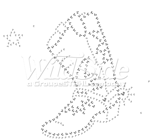 Cowboy Boot With Star - Drawing (525x525), Png Download