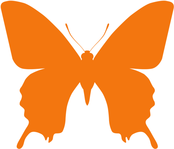 Orange Butterfly Png (1000x910), Png Download