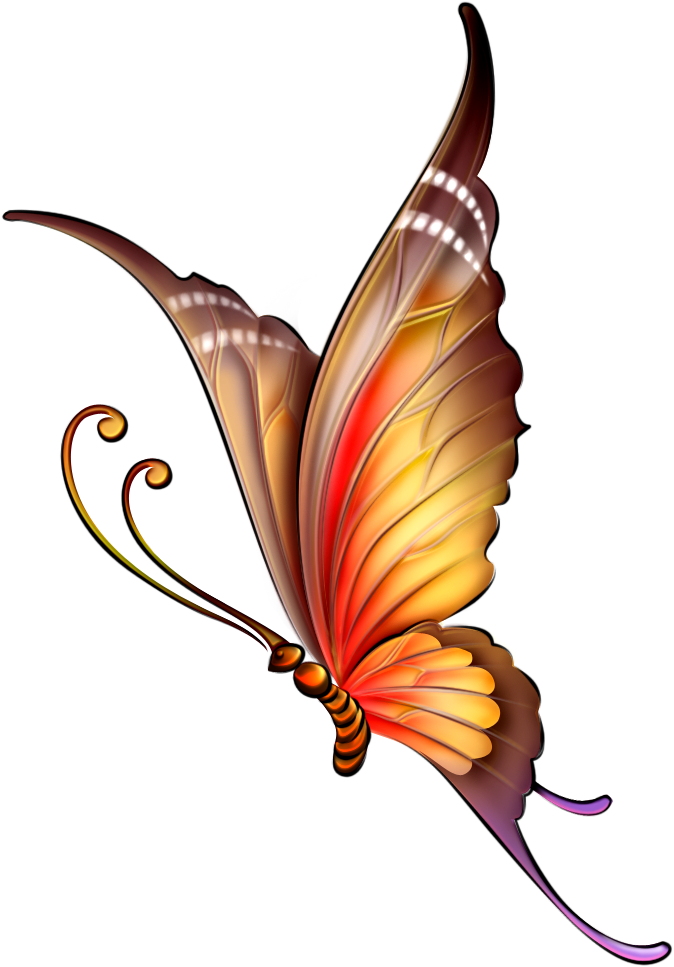 Фото, Автор Ya - Butterfly Drawing With Color (681x990), Png Download